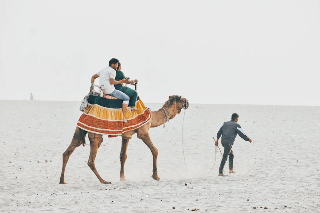 Karadeniz Yaylaları